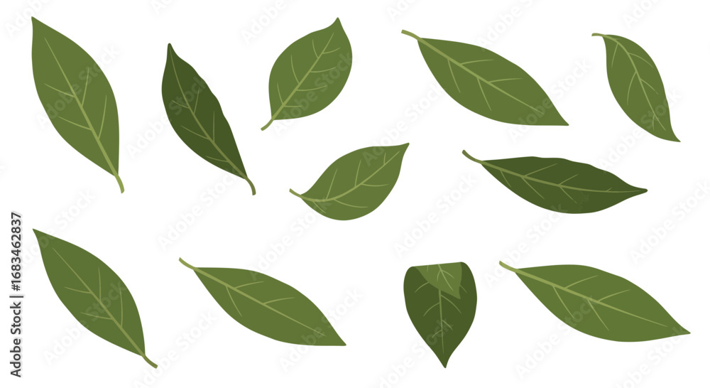 Naklejka premium Green leaves arranged in a natural pattern, perfect for organic, botanical, and eco-friendly designs.