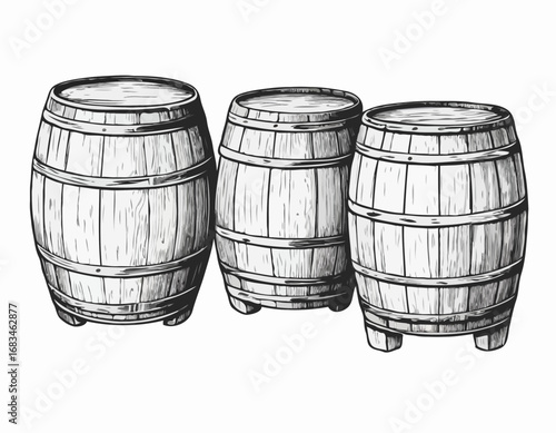Three vintage wooden barrels for wine and beer hand drawn sketch engraving style Vector illustration