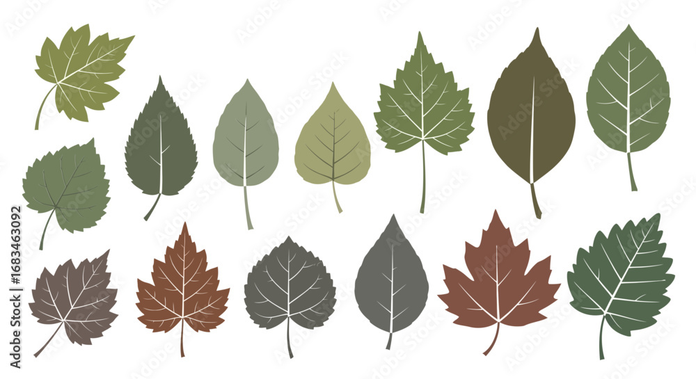 Fototapeta premium Assorted stylized leaves in various shades, perfect for nature-themed designs and projects
