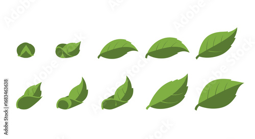 Green leaves in various stages, perfect for illustrating growth, nature, and fresh concepts.
