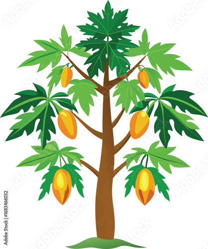vector illustration of an orange tree