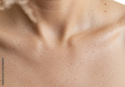 Close-up of Female Neck and Collarbone: Smooth Skin Texture