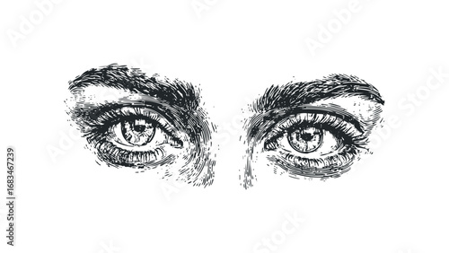 Close up sketch of a woman's expressive eyes and eyebrows on transparent. Vector hand drawn illustration