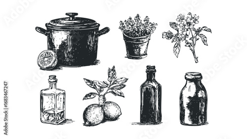 Hand drawn collection of kitchenware and fresh ingredients on transparent background. Vector hand drawn illustration