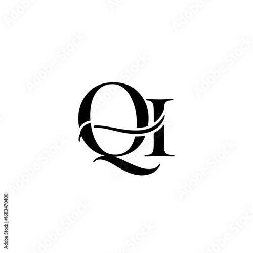 Sophisticated OI Logo Concept with Elegant Details
