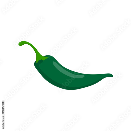 Green Chili Pepper on White Background. Vector Illustration