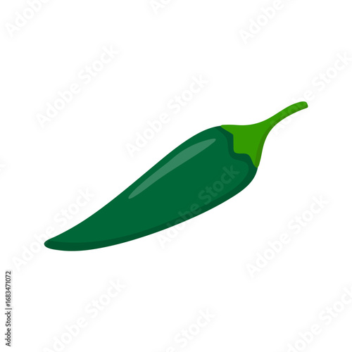 Green Chili Pepper on White Background. Vector Illustration