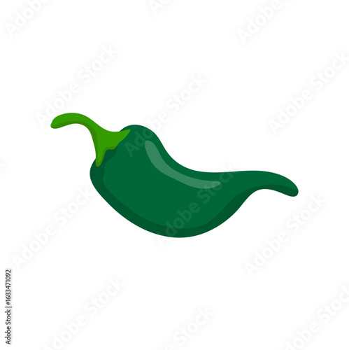 Green Chili Pepper on White Background. Vector Illustration