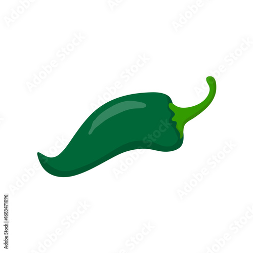 Green Chili Pepper on White Background. Vector Illustration