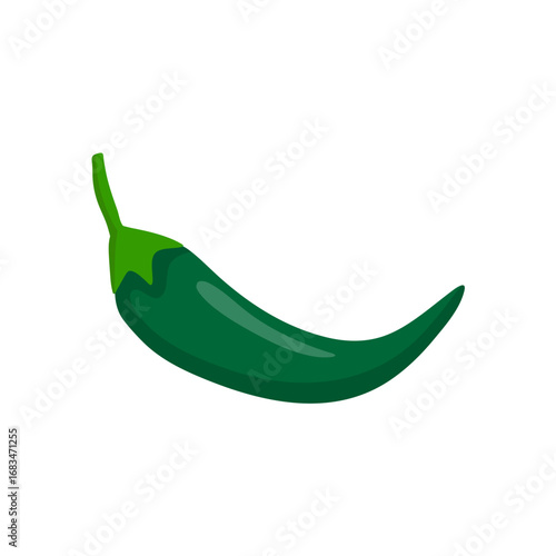 Green Chili Pepper on White Background. Vector Illustration