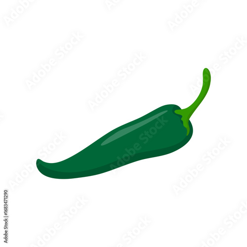 Green Chili Pepper on White Background. Vector Illustration