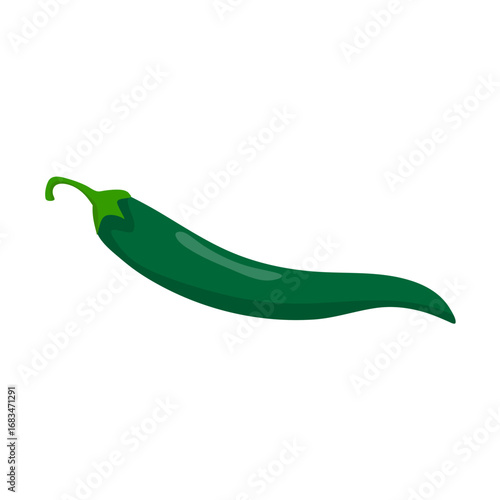 Green Chili Pepper on White Background. Vector Illustration