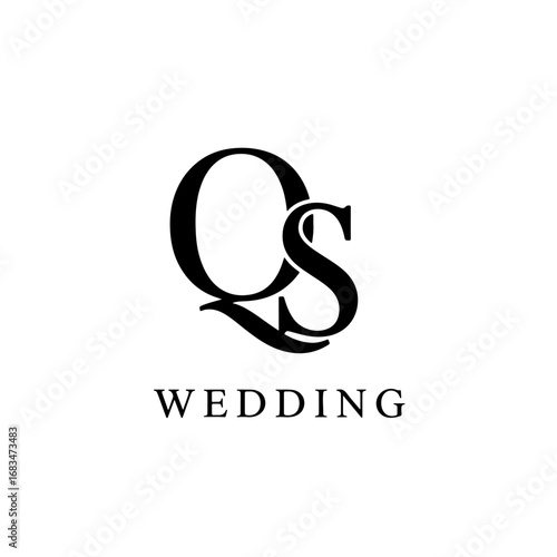 Custom QS Signature Logo for Creative and Professional Brand Identity