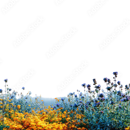 Wallpaper Mural Colorful flower bed border Torontodigital.ca