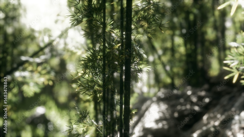Fototapeta premium Amidst the serene bamboo grove, sunlight filters through lush green leaves, casting gentle shadows on the forest floor. This enchanting setting evokes peace and natural beauty.