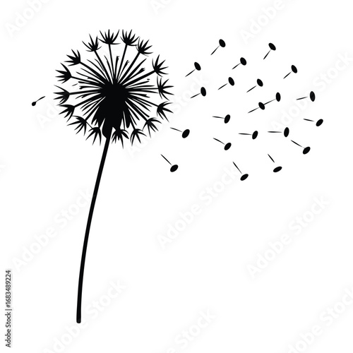 Black silhouette of a dandelion with seeds blowing in the wind