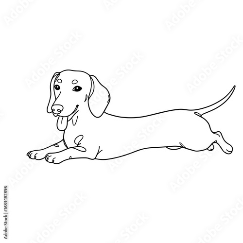 Dachshund coloring SVG. Laying pose vector dog for kids education pack