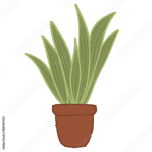 Plant In A Pot Illustration