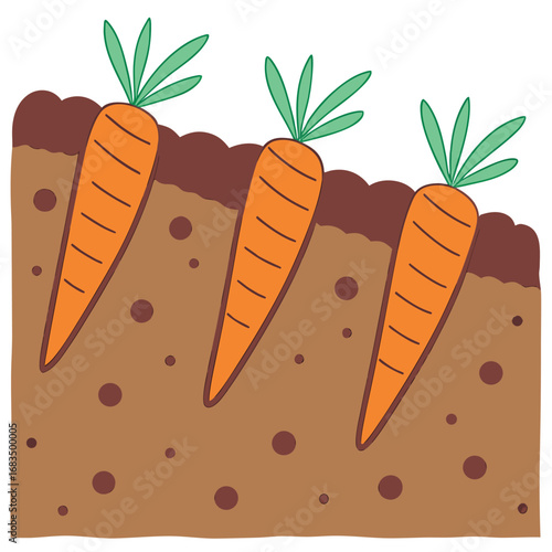 Vector art of three ripe carrots growing in the rich brown soil, with green leafy tops reaching towards the sky