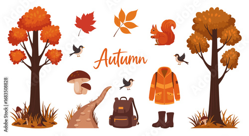 Autumn themed image featuring trees, leaves, squirrel, birds, mushrooms, path, jacket, backpack and boots