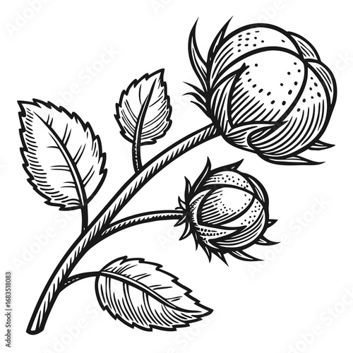 conceptual, metaphor, reflection, idea, visual, minimal