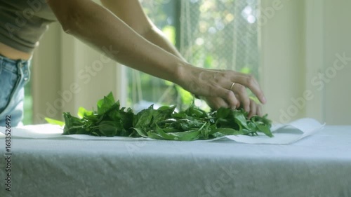 Close-up of fresh green herbs placed on a paper towel for drying. Concept of natural food preparation, healthy cooking, and organic herb preservation.