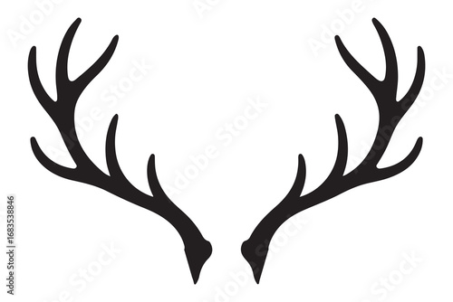 Black Deer antlers on white background