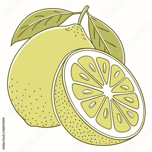 Fresh Calamansi Fruit Illustration A Vibrant Slice of Citrus Delight with Leaves