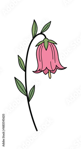 Pretty pink bell flower blooming gracefully on a delicate green stem