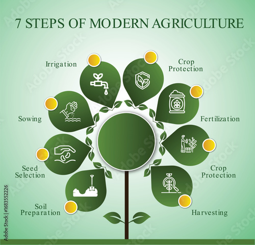 7 Step of modern agriculture infographics 