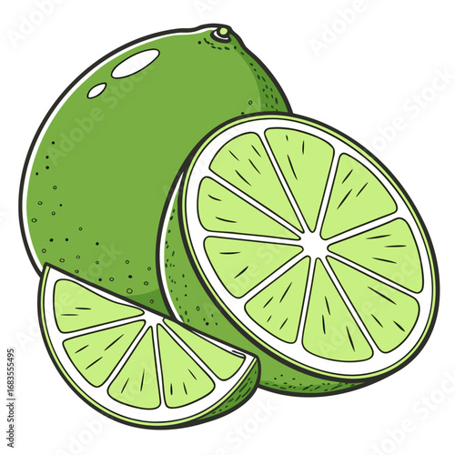 A fresh green lime illustration, perfectly showcasing a whole fruit alongside a sliced half and a juicy wedge, isolated on a solid white background
