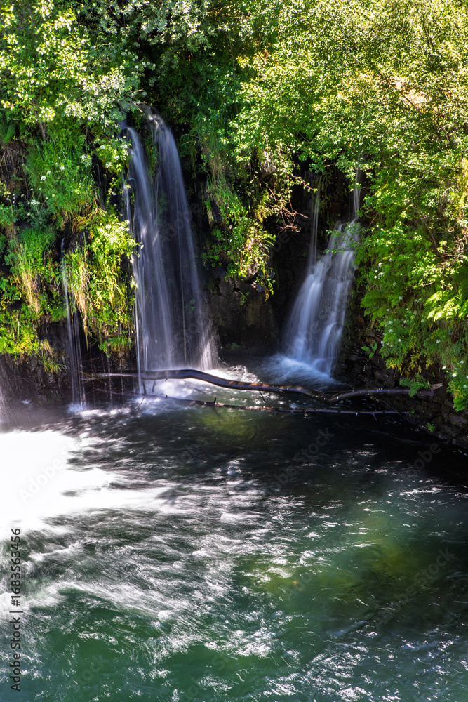 Obraz premium waterfall in the forest