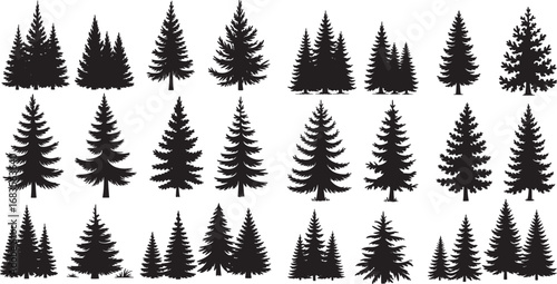 A festive set of winter forest trees, including pine and fir silhouettes, for your Christmas and holiday nature illustrations	

