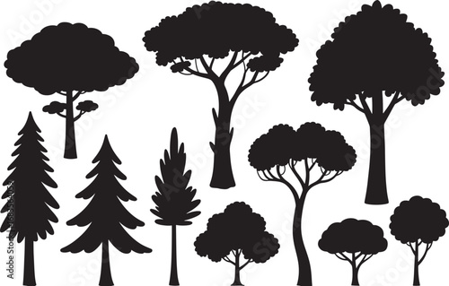 Silhouettes of various evergreen trees in a forest