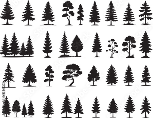 black fir trees and pine forest silhouettes are a perfect Christmas and winter holiday decoration