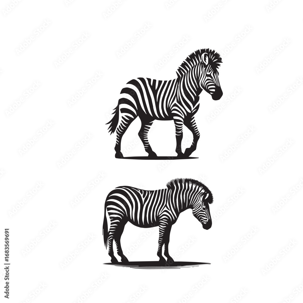Obraz premium zebra sets silhouette ,zebra silhouette art , zebra setssilhouette images , zebra sets silhouette clipart , zebra silhouette png