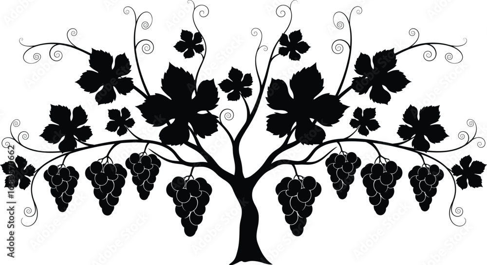 Naklejka premium Elegant Silhouette of Grapevine Tree with Multiple Grape Clusters and Leaves – Artistic Black and White Vector for Vineyard, Nature, and Decorative Designs