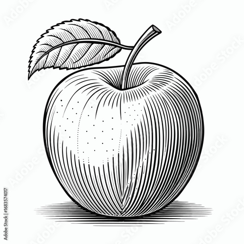 Apple line art design