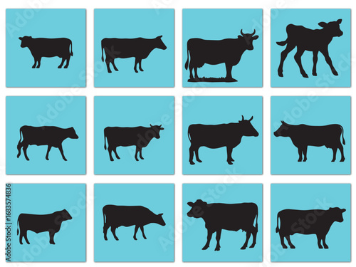 vector illustration of  sets of cow
