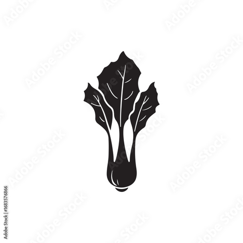 Bok Choy Vector (2).eps