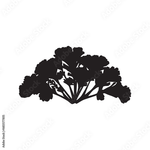 Collard Greens Vector (3).eps