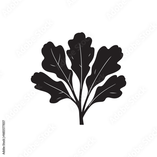 Collard Greens Vector (2).eps