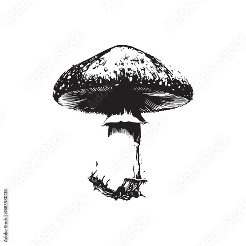 Mushroom Vector (1).eps