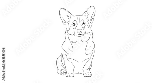 Elegant line drawing of a seated Cardigan Welsh Corgi.