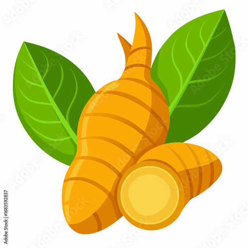 Fresh Turmeric Roots with Leaves Illustration