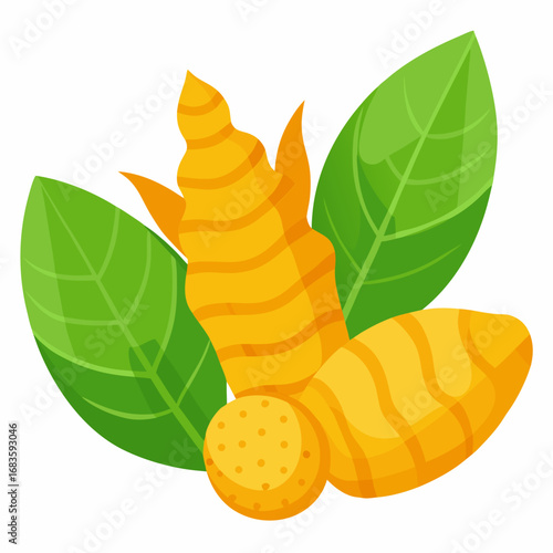 Fresh Turmeric Roots and Leaves Illustration