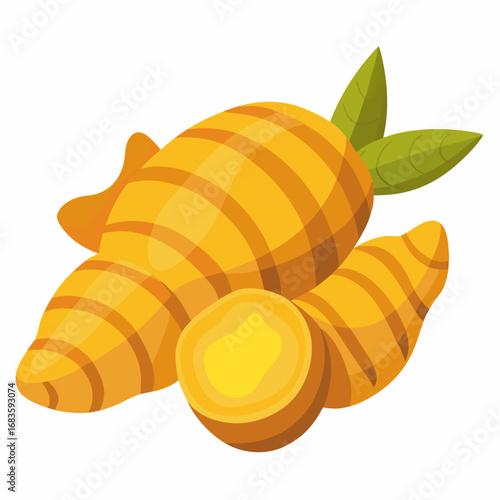 Turmeric Root Illustration