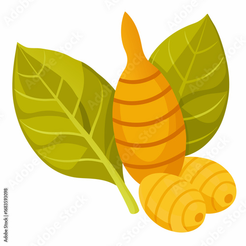 Turmeric Roots and Leaves