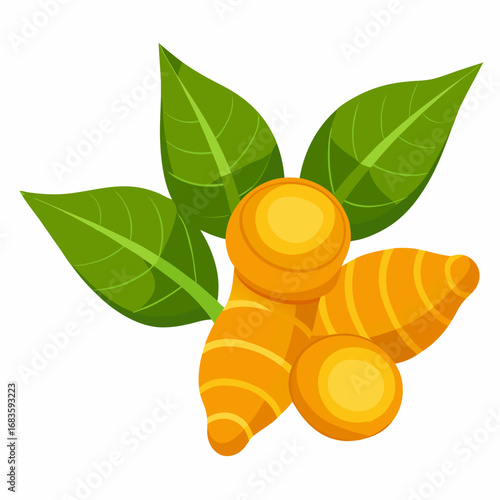 Fresh Turmeric Root and Leaves Illustration