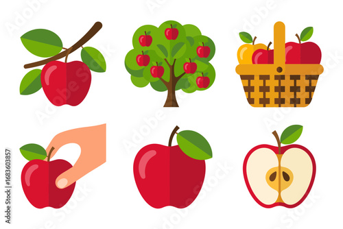 Apple picking set, red apples and tree, harvest basket and branch, hand picks apple, sliced fruit cross section, cute flat style, vector illustration, isolated on white